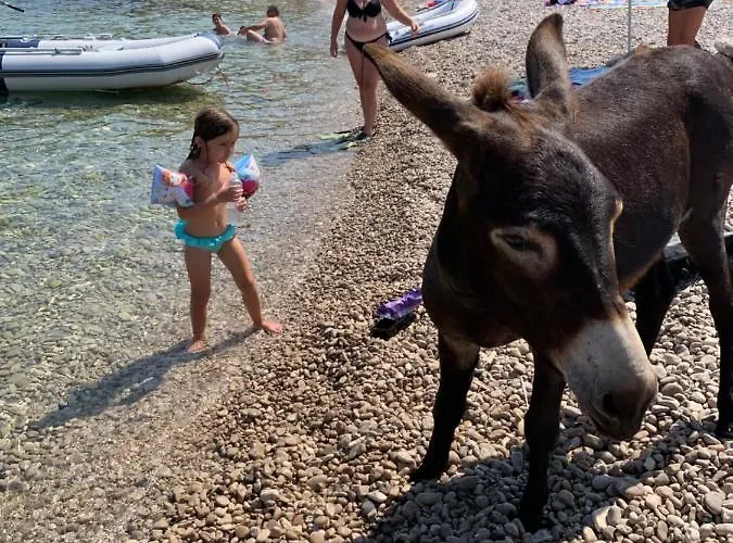 Διαμέρισμα Visitaylinvis