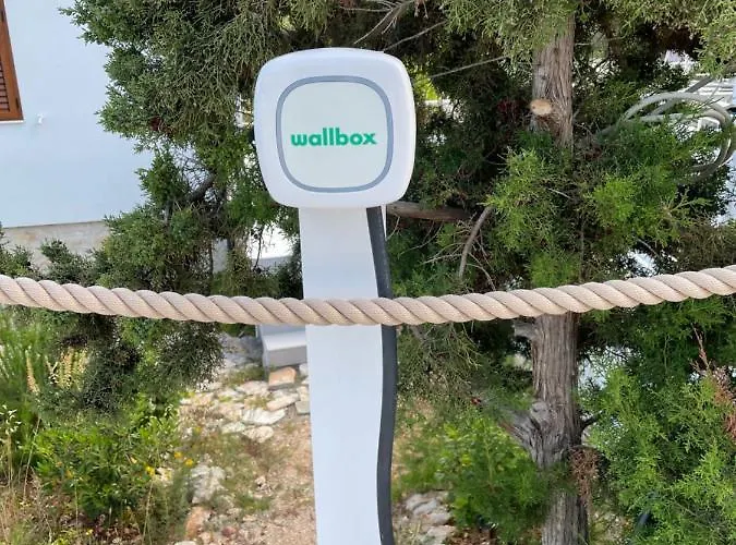 Visitaylinvis * Βις