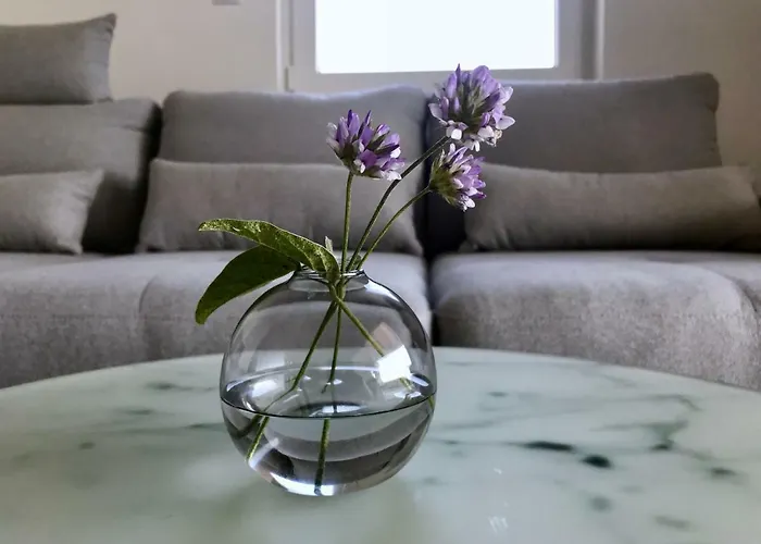 Διαμέρισμα Visitaylinvis *