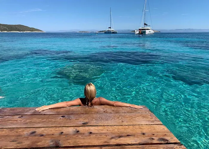 Visitaylinvis * Βις