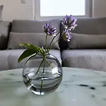 Lejlighed Visitaylinvis *