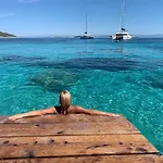 Visitaylinvis * Vis