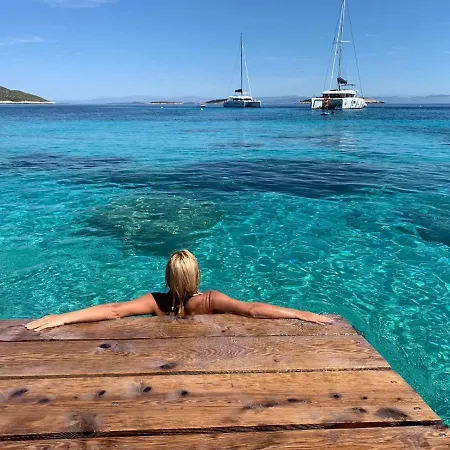 Visitaylinvis * Vis