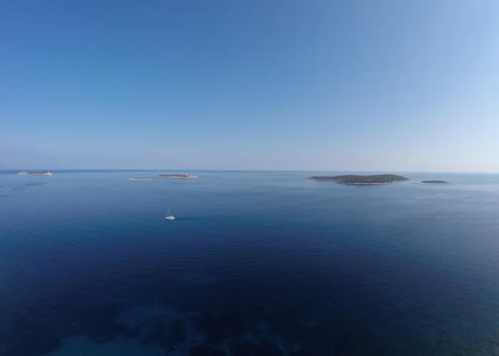 Visitaylinvis * וויס