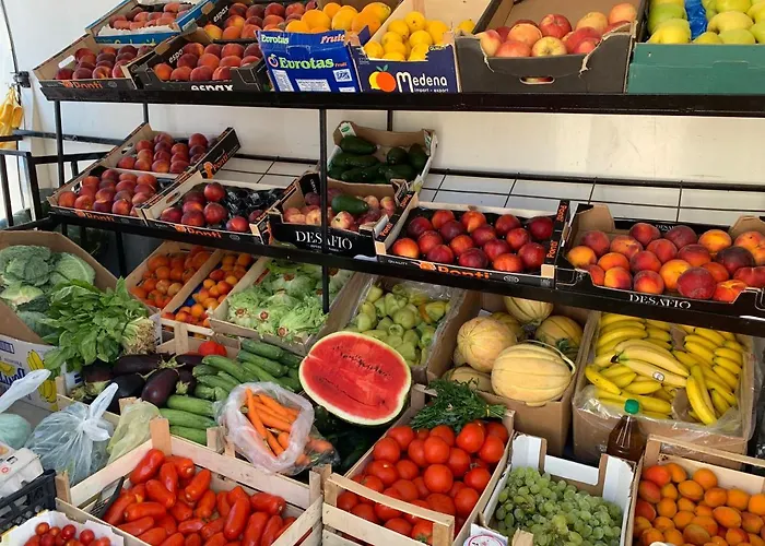 Visitaylinvis * 비스