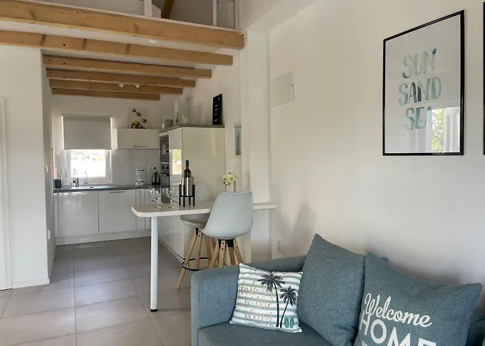 Visitaylinvis 비스