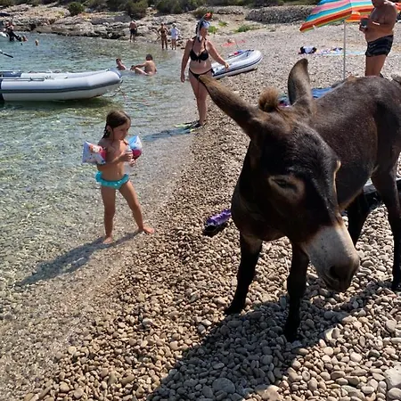 Apartman Visitaylinvis