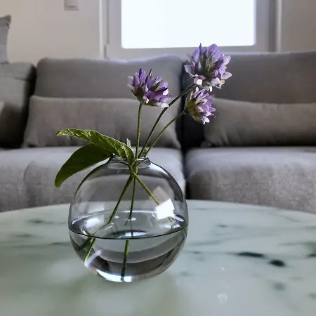 Apartman Visitaylinvis *